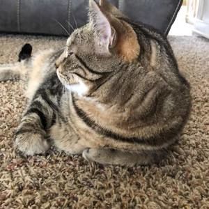 Meet your Posher, Connor